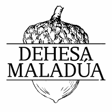logo maladua