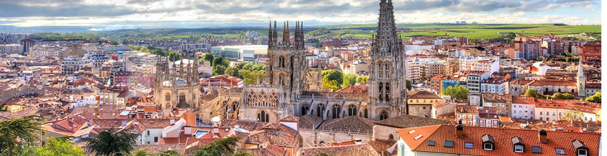Cestas de Navidad a domicilio en Burgos