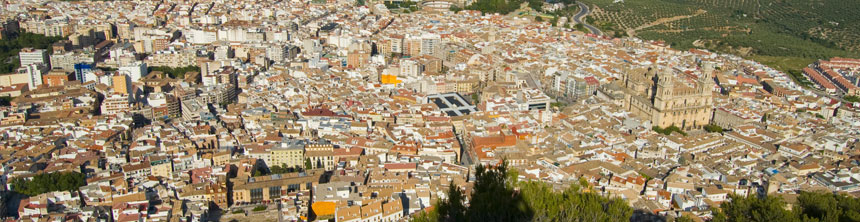 Cestas de Navidad a domicilio en Jaén