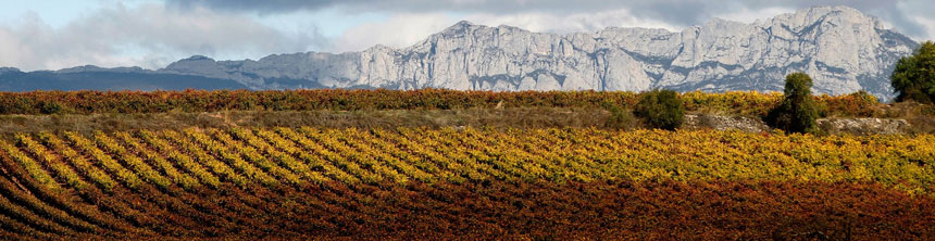 Cestas de Navidad a domicilio en La Rioja