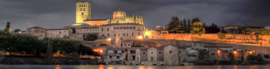 Cestas de Navidad a domicilio en Zamora